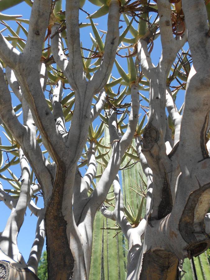 Pane Vivente Garden Cottage Beaufort West Esterno foto