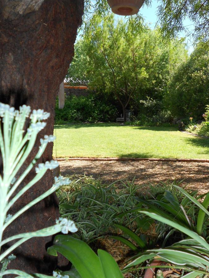 Pane Vivente Garden Cottage Beaufort West Esterno foto