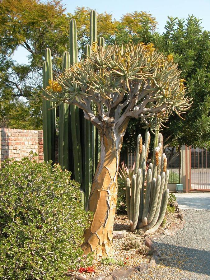 Pane Vivente Garden Cottage Beaufort West Esterno foto