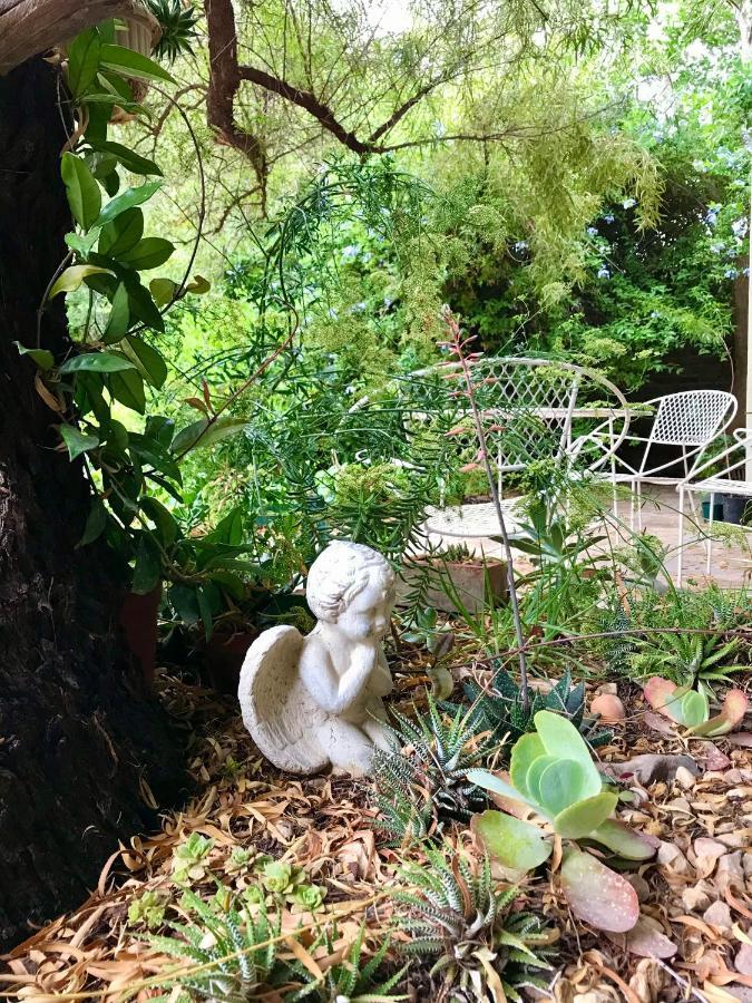 Pane Vivente Garden Cottage Beaufort West Esterno foto