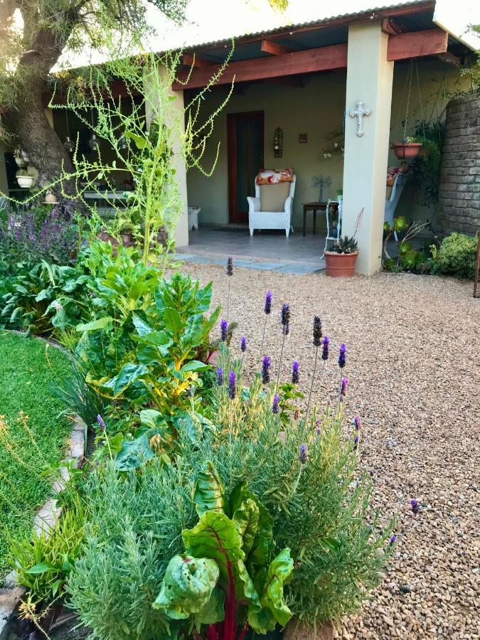 Pane Vivente Garden Cottage Beaufort West Esterno foto